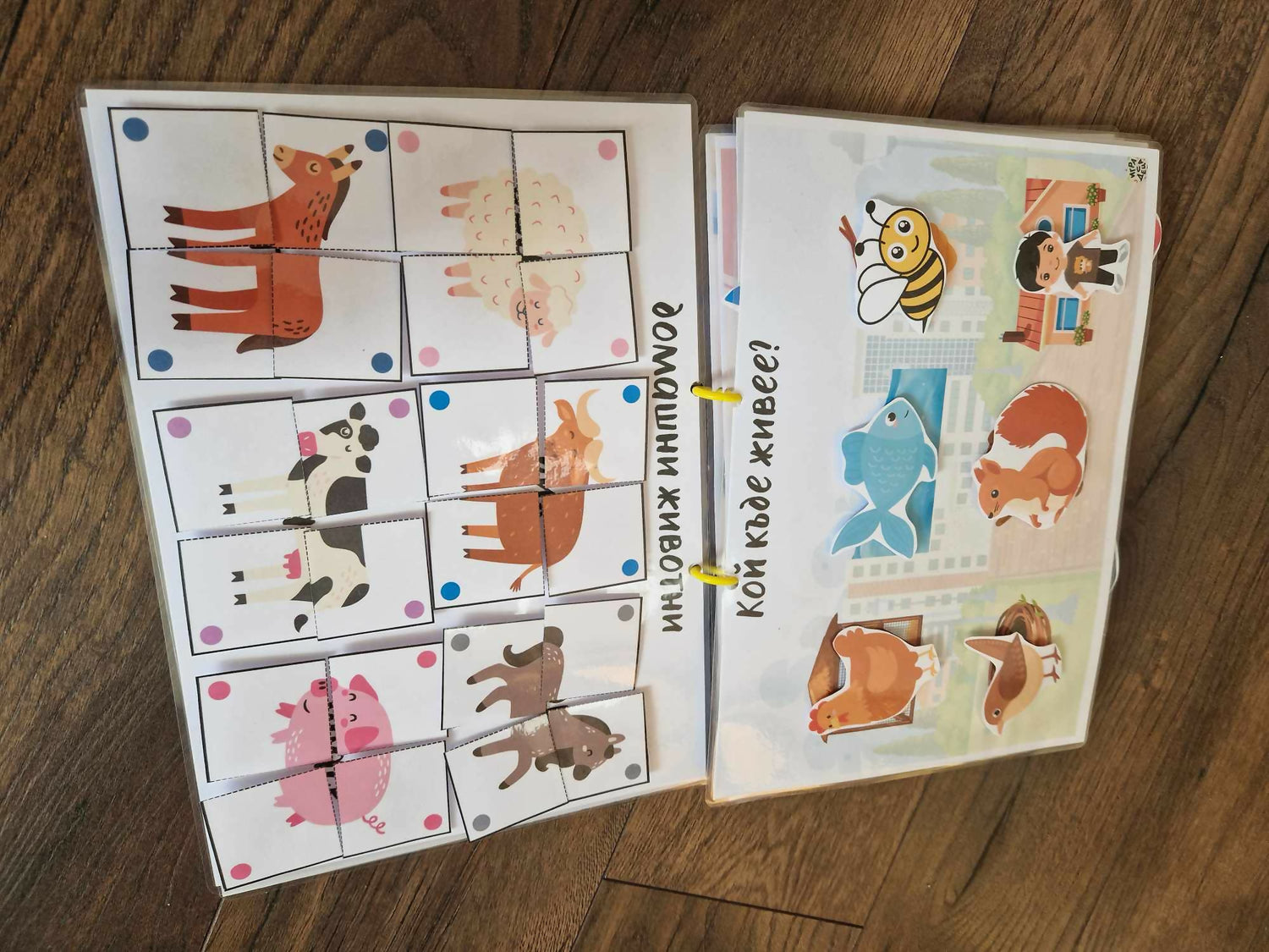455119199_847469677489273_1923897843691442036_n